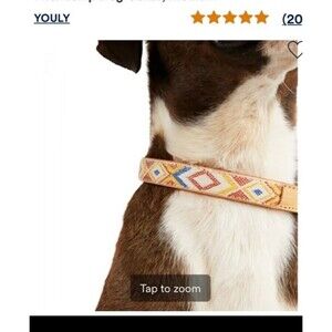 Youly "The Charismatic" Dog Collar Size Small (12-15")